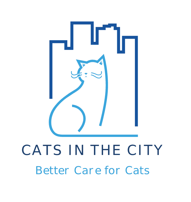 Cats in the City
