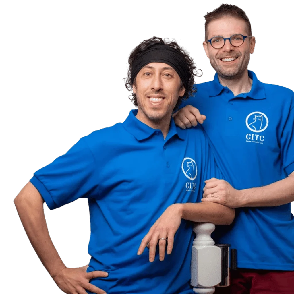 Cats in the City team members